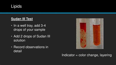 test for lipids sudan iii|Test for Lipids (Sudan Test) Food Tests .